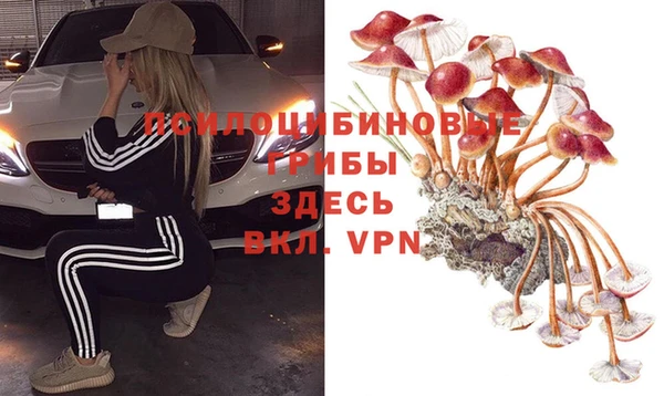 ALPHA PVP Инсар