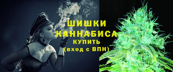 mdpv Инта