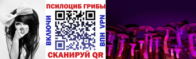 Купить  Кораблино  Псилоцибиновые грибы Magic Shrooms 